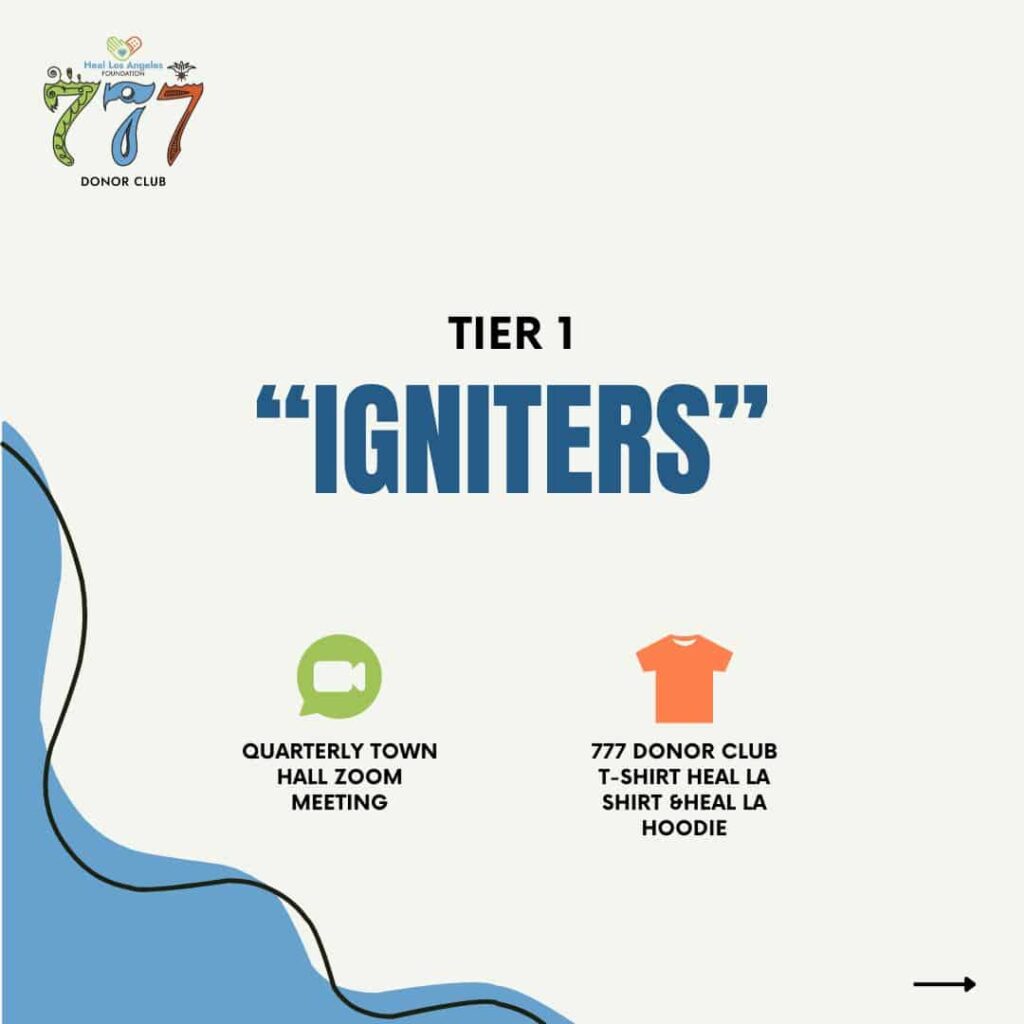 Heal-LA-777-Donor-Club-Social-Instagram-Post-1-1