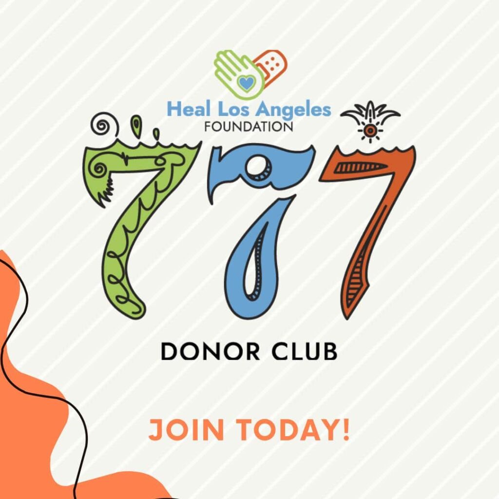 Heal-LA-777-Donor-Club-Social-Instagram-Post-5